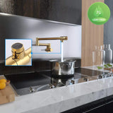 Modern Shiny Gold Pot Filler #202422