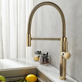 Polished Gold Spring Kitchen Mixer #202438