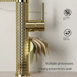 Polished Gold Spring Kitchen Mixer #202438