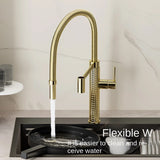 Polished Gold Spring Kitchen Mixer #202438