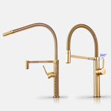 Polished Gold Spring Kitchen Mixer #202438