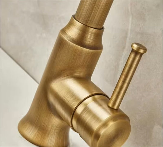 Brass Pull Out Kitchen Mixer #20259