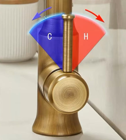 Brass Pull Out Kitchen Mixer #20259
