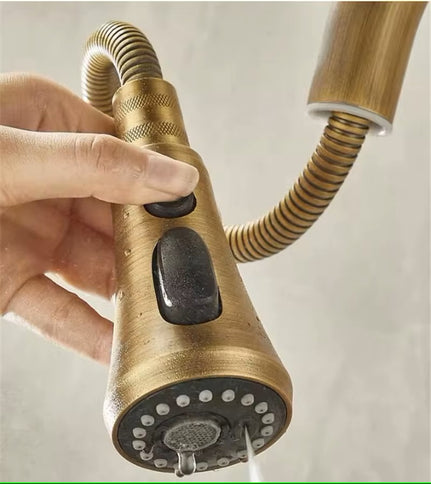 Brass Pull Out Kitchen Mixer #20259