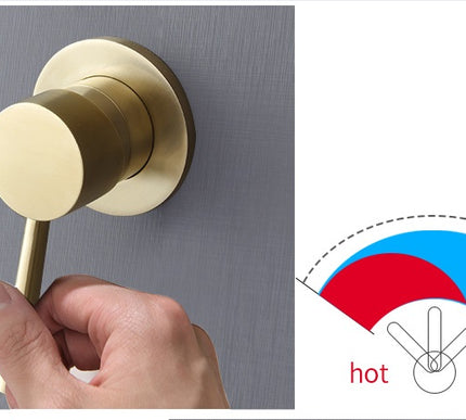 Brushed Gold Shower Mixer #202346