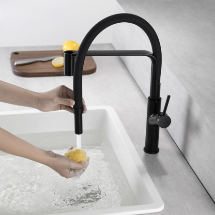 Matt Black Pull Out Kitchen Mixer #201799