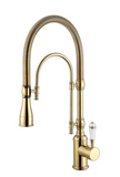 Gold Single Ceramic Lever Extending Kitchen Mixer #201872