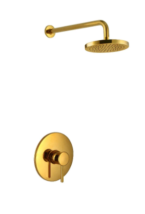 Gold Single Lever Concealed Shower #20216