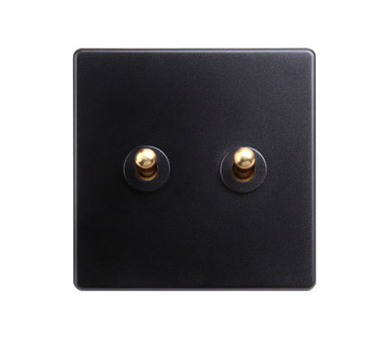 Classy Black 2 Gang Brass Toggle Switch
