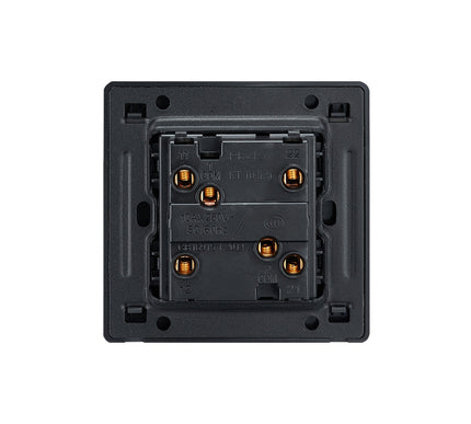 Classy Black 2 Gang Brass Toggle Switch