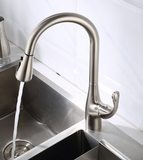 Brushed Nickel Dual Sprayer Kitchen Mixer #201946