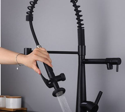 Black Dual Kitchen Mixer #201843