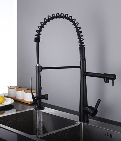 Black Dual Kitchen Mixer #201843