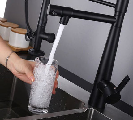Black Dual Kitchen Mixer #201843