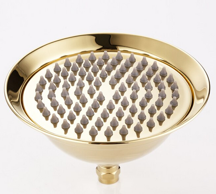 Gold Shower with Hand Shower #20114