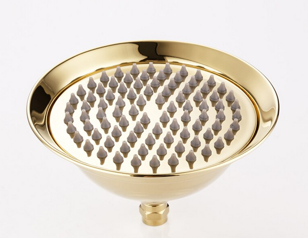 Gold Shower with Hand Shower #20114