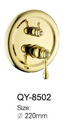 Gold Shower with Hand Shower #20114
