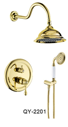 Gold Shower with Hand Shower #20114