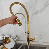 Gold Single Ceramic Lever Extending Kitchen Mixer #201872