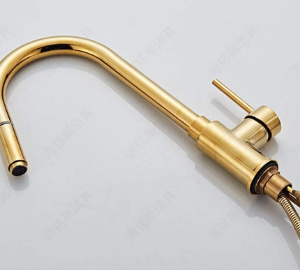 Gold Modern Extender Kitchen Mixer #201798