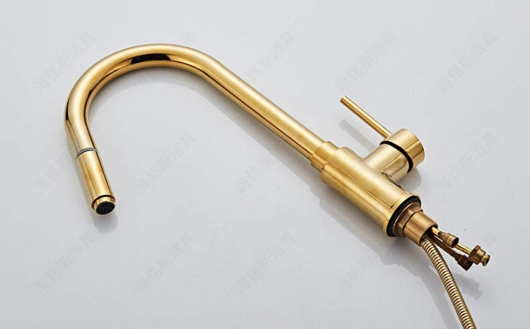 Gold Modern Extender Kitchen Mixer #201798