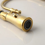 Gold Single Ceramic Lever Extending Kitchen Mixer #201872