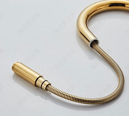 Gold Modern Extender Kitchen Mixer #201798