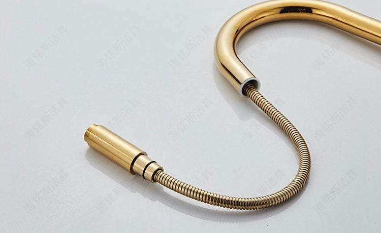 Gold Modern Extender Kitchen Mixer #201798