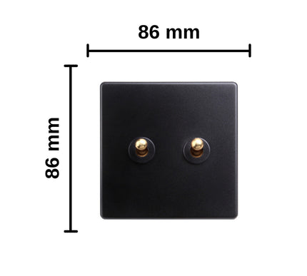 Classy Black 2 Gang Brass Toggle Switch