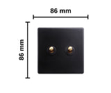 Classy Black 2 Gang Brass Toggle Switch